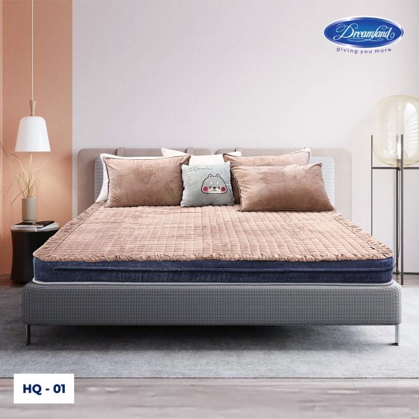 Thảm HQ - 01