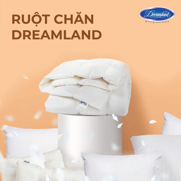 Ruột Chăn Ép Hơi Classic