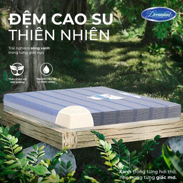 Đệm cao su thiên nhiên