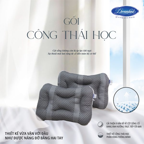 Ruột gối Micro - Công Thái Học