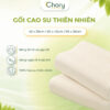 Ruột Gối Cao Su Thiên Nhiên | Dáng Công Thái Học Nâng Đỡ Cổ Vai Gáy | 28x45cm 45x62cm