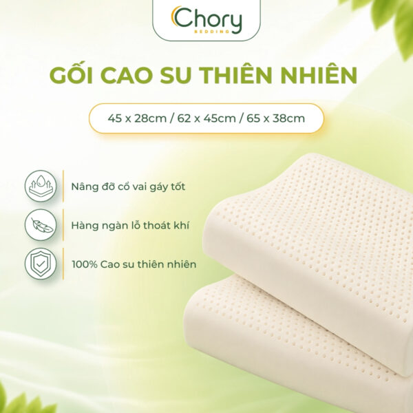 Gối Cao Su Thiên Nhiên | Dáng Công Thái Học Nâng Đỡ Cổ Vai Gáy | 28x45cm 45x62cm